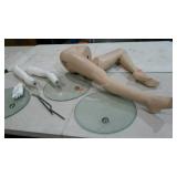 Mannequin parts, includes stands