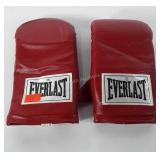 Everlast boxing gloves