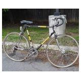 Bike, Dawes, rustic condition