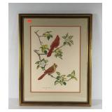 Albert Earl Gilbert Audubon print of cardinals o