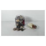 Container of pebbles/rocks and glass shell shaped