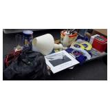 Skip lot with photograph, games, pair lamps,