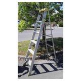 Werner 6 foot aluminum step ladder