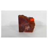 Petrified wood, 6" × 6"