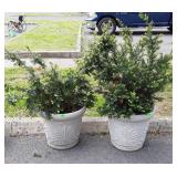 Two plastic planters with real plants and dirt in