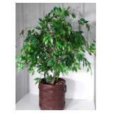 Home Decor Everlasting Plant with Basket planter,