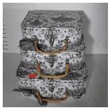 Nest of 3 Handbag type cases