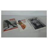 Adult coffee table books, pin-ups, erotica