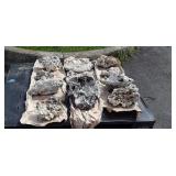 16pc Of Sea Coral of various sizes