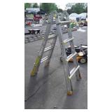 Cosco multi-use ladder