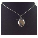 Pendant And Necklace 18" Length