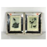 Pair of bird prints in mirrored frames, each