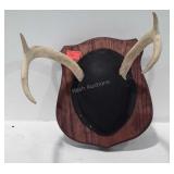 Mounted antlers