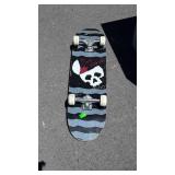 Skate Board