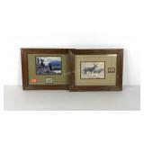 US postage stamps and pictures, Wildlife