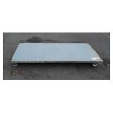 Metal Warehouse Platform Cart 32x66"