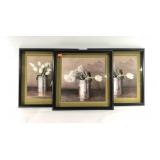 Three shadowbox decor prints, white tulips, two