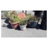 5 Big Poly Outdoor Planter Pots, greenery is