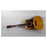 Kingston acoustic guitar, model WF5WP, no