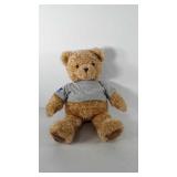 Large wish bear stuffed animal