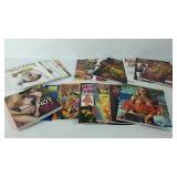 Group of adult erotica graphic novels