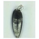 83.9ct Sterling fancy orthoceras pendant