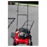 Mtd 20 inch cut push mower with Briggs & Stratton
