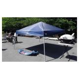 Quest 10 x 10 Instant up Canopy with carrying