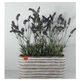 Everlasting flowers in planter box, seller code