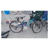 Bike, Raleigh Mountain Scout, tires need Air, in