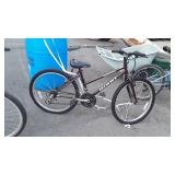 Giant awesome bike, 24 in Wheels, tires are flat,