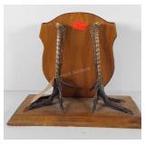 Mounted Turkey legs, 9" x 12"