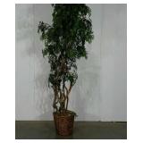 Everlasting potted tree, 7