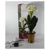Home decor, Fiber optic amaryllis flower with