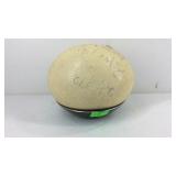 Ostrich egg