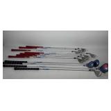Group of Dunlop Lady XT 431 golf clubs
