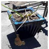 Glazed Pottery 12" Planter