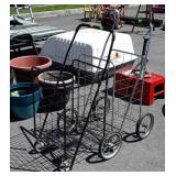 Two Homeowners Shopping Carts