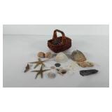 Small wicker basket full of shells, starfish, and