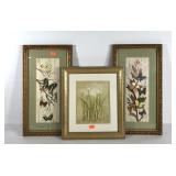 Wall art, pair of butterfly prints 12x22 and