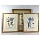 Botanical prints in coordinating golden frames,