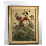 Floral print, framed 22x28