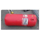 Everlast Medicine Punching Bag