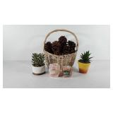 Home decor, includes basket of pinecones,