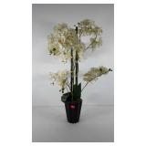 Everlasting orchids in pot, 30"