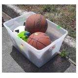 Sports Balls Group in tote