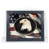 Patriotic picture, eagle with map mat treatment,