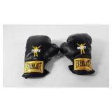 Everlast boxing gloves, child