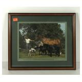 Rapparidge Farm, Warrenton, horse photo by