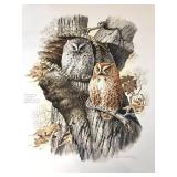 Screech Owls, Don Whitlatch unframed print by